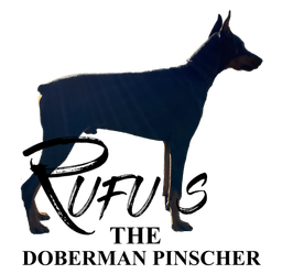 Rufus Logo